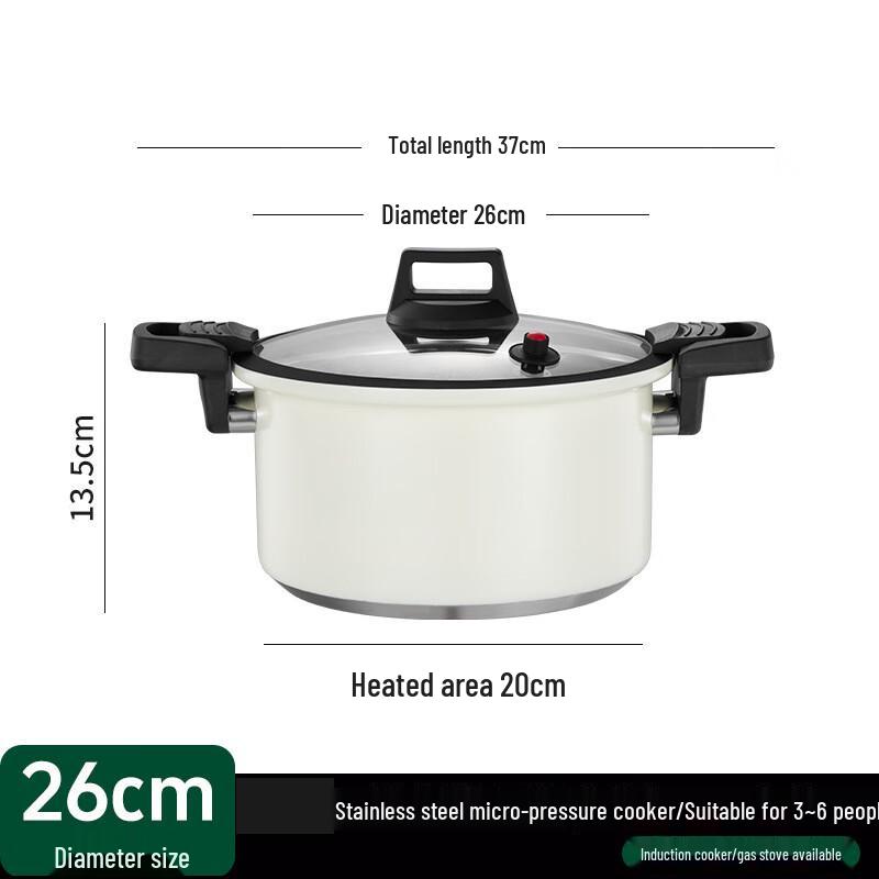 Stainless Steel Micro Pressure Cooker
