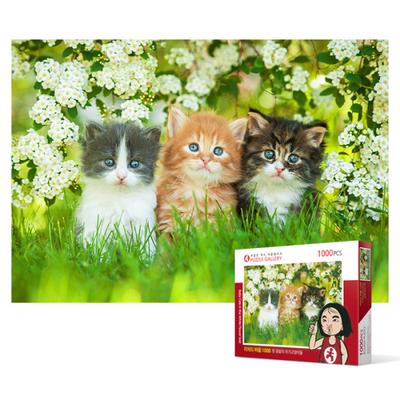 1000-teiliges Puzzle – Kätzchen auf einer weißen Blumenwiese, beliebtes koreanisches Puzzle