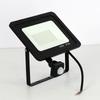 10W 20W 30W 50W 100W Induction Led Flood Light With Adjustable PIR Sensor 110V 220V Floodlight Street Square Outdoor Lighting