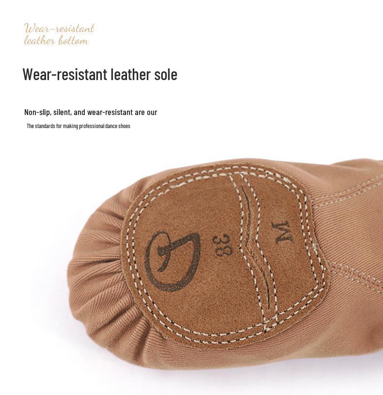 Women's Soft Sole Dance Shoes - Classical Chinese Ballet Practice Shoes for Children and Adults