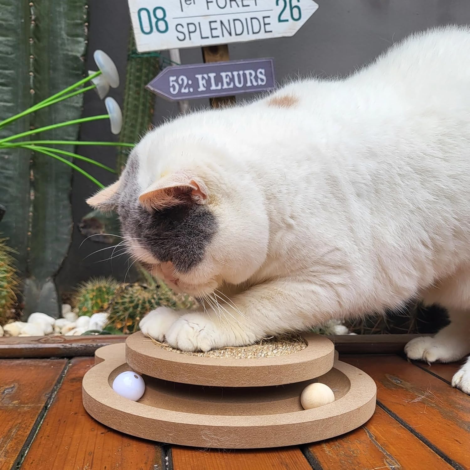 Cute Cat Scratcher,Interactive Scratcher Toys for Indoor Cats and Kitten Natural Sisal Cat Scratch Mats Track Balls Spring Toy,for Bored Cats self