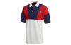 Polo Originali Uomo Collo a Polo Vestibilità Dritta Moderata FM2197