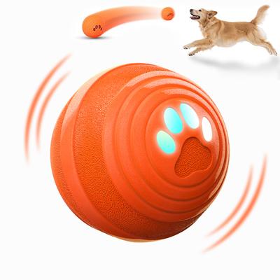 Köpek – Köpek oyuncakları