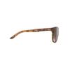 Sports Sunglasses SOUNDSHIELD Demitrurtle Deg [Rudy Project] Gloss/Brown SP733650-0000