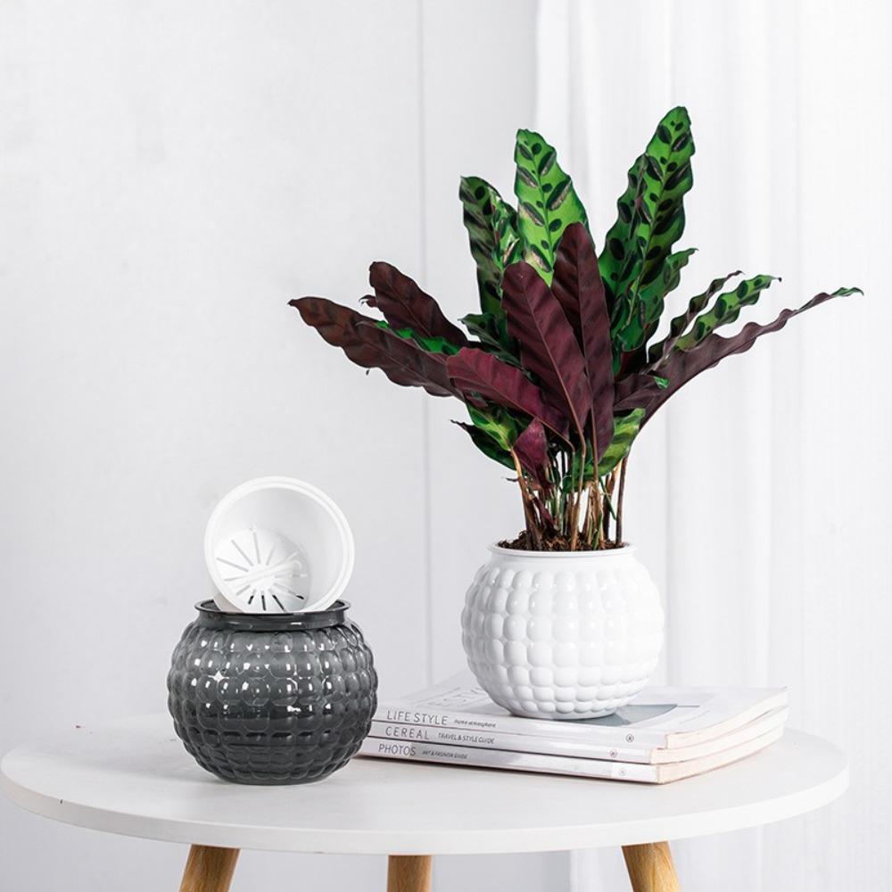 Removable Hydroponic Plants Pot Self Watering Office Bonsai Decor  for Plants and Flowers