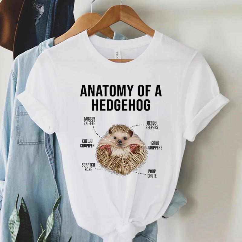 Anatomy of Hedgehogs Fashion Women T Shirts Funny Hedgehog Tops Round Neck Printed Tshirt Hedgehog Lover Gift Essential TShirt M