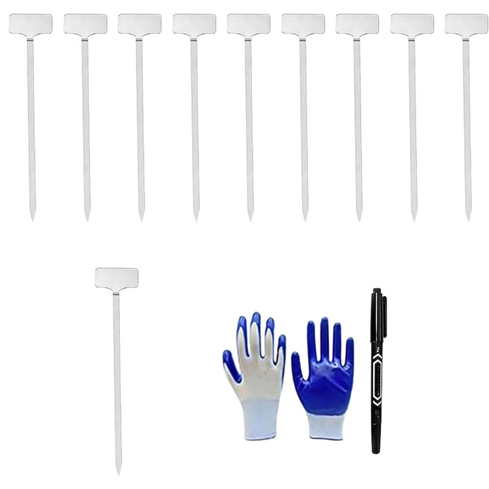 

12pcs Plant Label Kit 201 Stainless Steel Garden Plant Label Set With Plastic Stakes For Marking Flowers Vegetables Herbs China Mainland