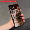 2DFlat Samsung Phone Case Ginger Cat Eyes Close-up Phone Case Applicable To Galaxy S23 S24 S25ULTRA S26 A12 A14 A15 A16 A54 A55