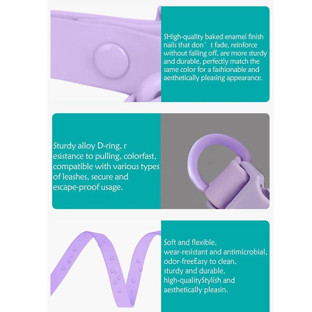 Pet Identification Pet Collar Elastic Webbing Safety Buckle Chain Waterproof Dog Collar  Puppies