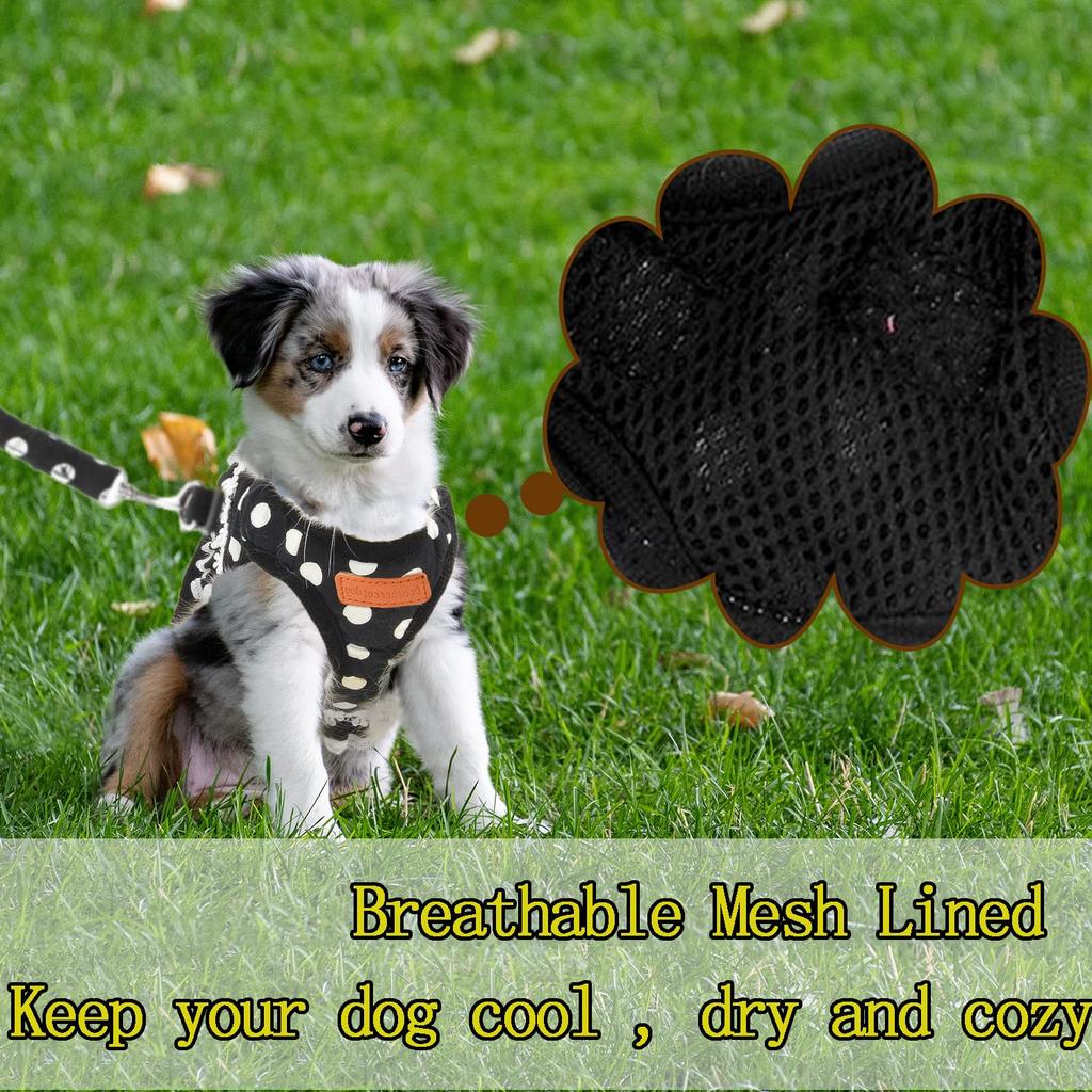 RANPHY Breathable Harness and Leash Set for Small and Extra Small Dogs and Cute Polka Dot Pattern with Crown and Flounce Design Size Cats, (Black,