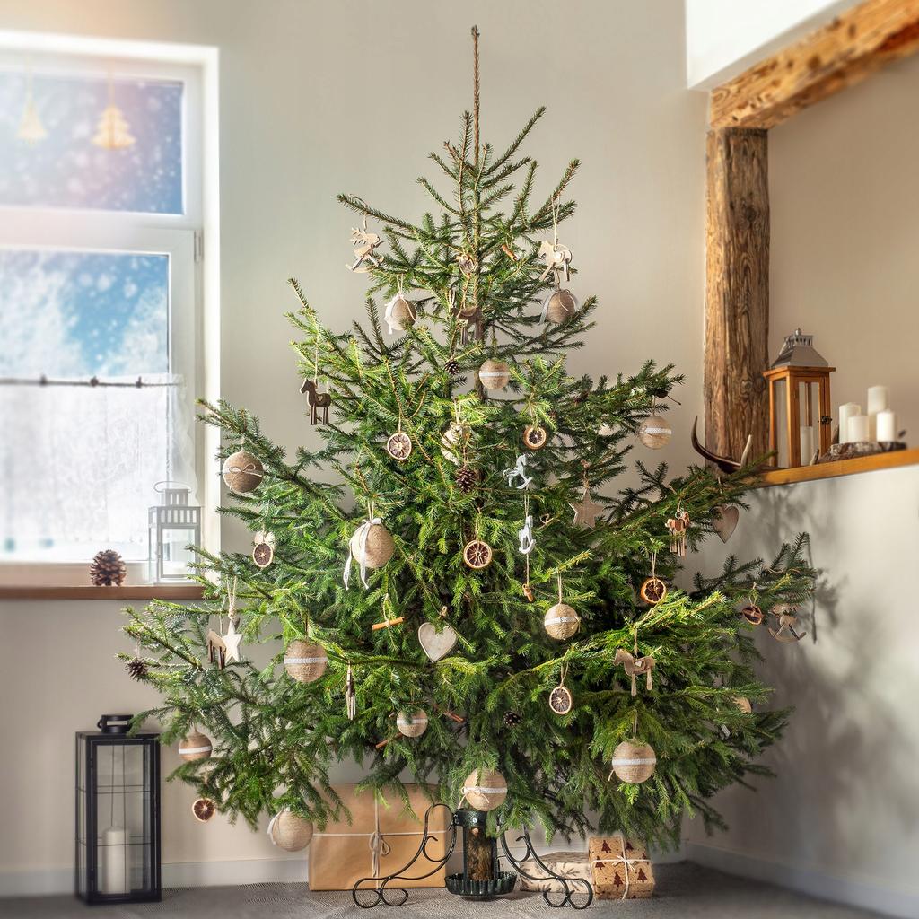 KADAX Christmas Tree Stand Christmas Tree Stand For Tree