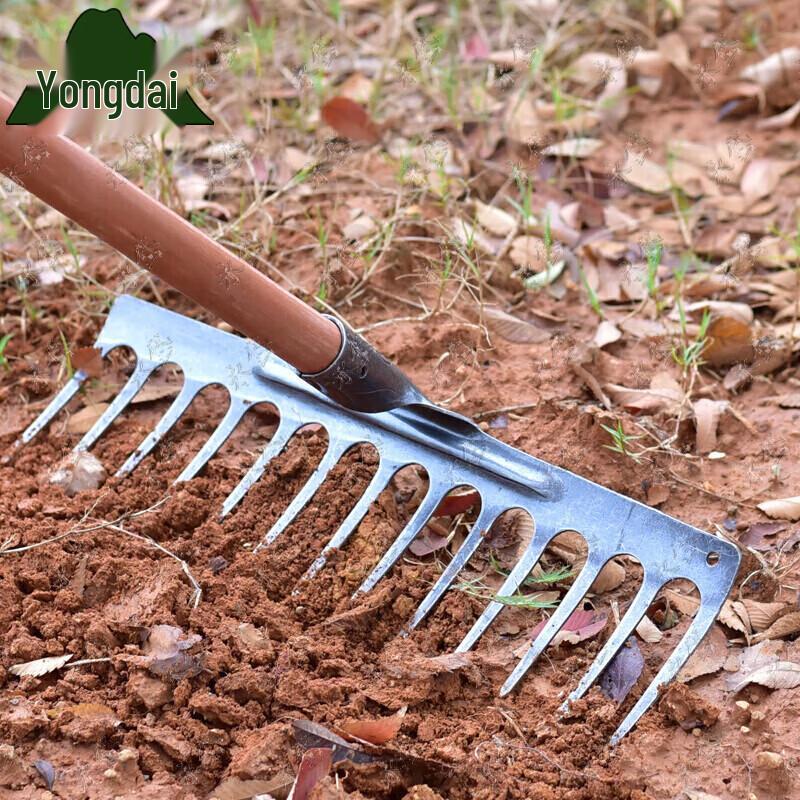 Heavy-Duty 13-Tooth Iron Garden Rake