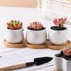 Five-pointed Star Flowerpot Tray Bamboo Wood Planter Stander Base Gift Succulents Bonsai Holder