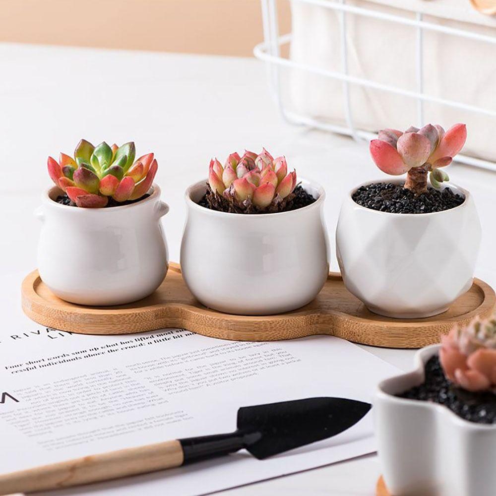 Five-pointed Star Flowerpot Tray Bamboo Wood Planter Stander Base Gift Succulents Bonsai Holder