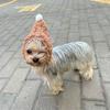New Winter Warmth Pet Dog Hat Noise-proof Prevent Fright Dog Headgear Adjustable Small Dog Headgear for Small Dogs