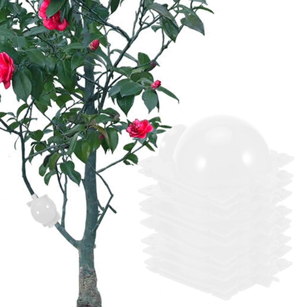 5 Set Reusable Plant Grafting Cutting Rooting Device High Pressure Propagation Ball for Various PlantsTransparent