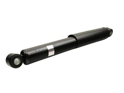 Ft11325 Fast Shock Absorber Rear /R Gas