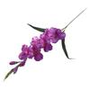 Gladiolus Blooms for Decor