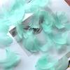 50Pcs Macaron Color Small Feather Small Goose Feather Wedding Festival Event Stage Decoration Gift Box Filling Material