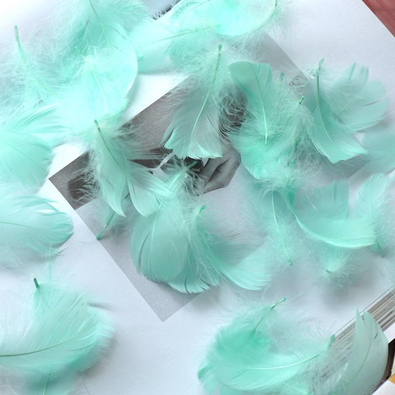 50Pcs Macaron Color Small Feather Small Goose Feather Wedding Festival Event Stage Decoration Gift Box Filling Material