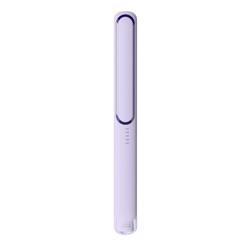 Low Power Anti-Scald Mini Hair Straightener and Curler Comb for Wet & Dry Use