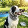 Elastic Mesh Dog Cooling Head Cover Quick Dry Anti Insect Mosquito Dog Ear Cover Pet Headgear Anti-mite Pet Neck Gaiter