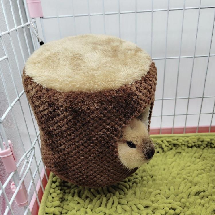 Hamster Warm Bed Hammock Small Pet Plush House for Guinea Pigs Squirrels