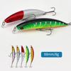Jerkbait Fishing Tackle Set for Stream Casting and Shallow Water Use, 5 Piece 88 Mm Artificial Baits Fishing Lures with Fish Eye Detail