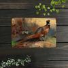 Vavufa Rustic Pheasant Metal Sign Outdoor Garden Wildlife Wall Art Patio Porch Decor 8x12 Inch