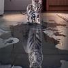 Handmade DIY Full Diamond Painting: Cat Tiger Reflection from Photo Crystal Art.