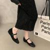 Inner Height Increase Leopard Print Single Shoes Autumn New Square Head One-word Buckle Suede Splicing Mary Jane Women's Shoes Doudou Shoes
