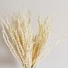 Wabi-Sabi Retro Floral Arrangement with Eucalyptus & Reed Grass for Home Decor & Photography