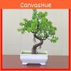 Pine Simulated Trees Artificial Green Plants With Pots Indoor Decoration