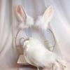 Rabbit Ear Headband Tail Girls Cosplay Accessories Beast Ears Fursuit Masquerade Cosplay Party