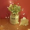 1/2M LED Wire Fairy Operated Battery Holiday Light Party Xmas Garden Tree Decor
