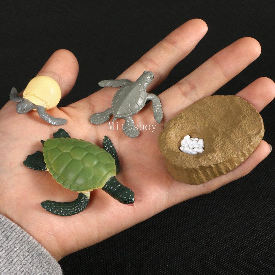Montessori Wooden Lifelike Insect Animal Life Cycle Board Teaching Plant Animals Growth Cycle Model Set Preschool Cognitive Toy