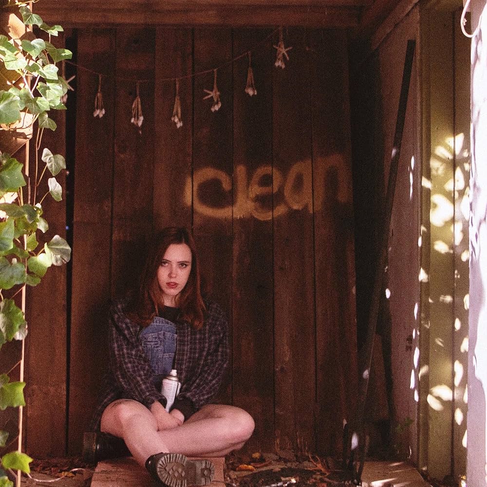 

LP Пластинка SOCCER MOMMY - Чистый FP1652 FAT POSSUM 2018 Рок