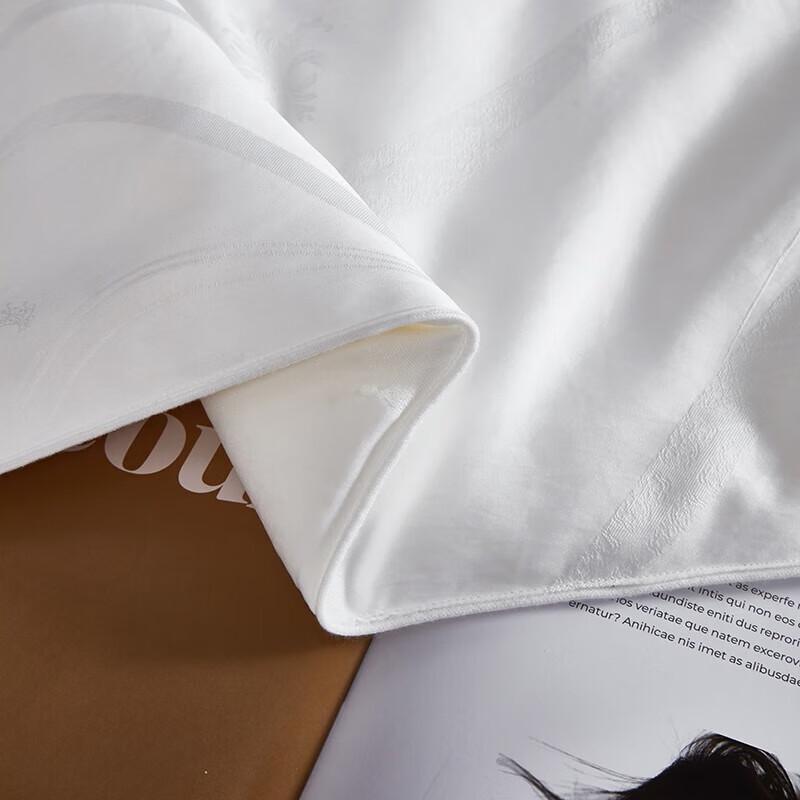 Mengjie Tussah Silk Blend All-Season Quilt