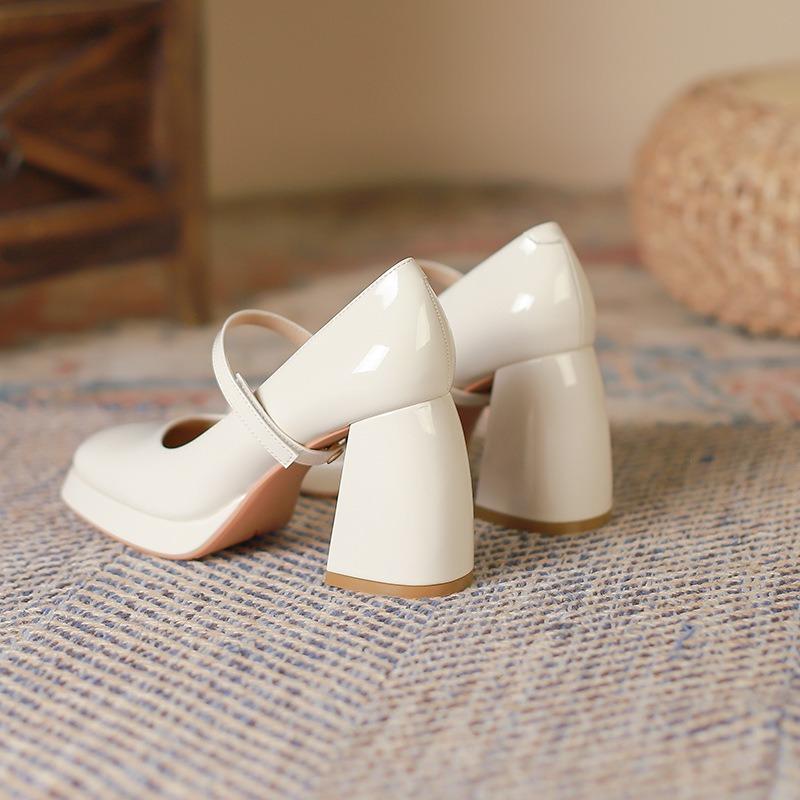 9-Mary Jane Shoes Autumn New Square Head Thick Heel High Heels Retro Mary Jane Shoes