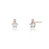 Lloyd Rose Cut Birthstone 14K Earrings Lpfl4062G