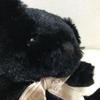 [USED] Hirokun House HIROKUN HOUSE Plush Toy Teddy Bear Black