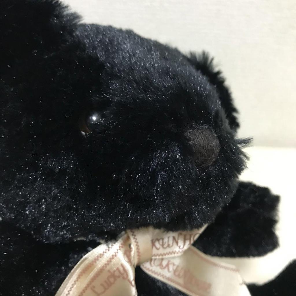 [USED] Hirokun House HIROKUN HOUSE Plush Toy Teddy Bear Black