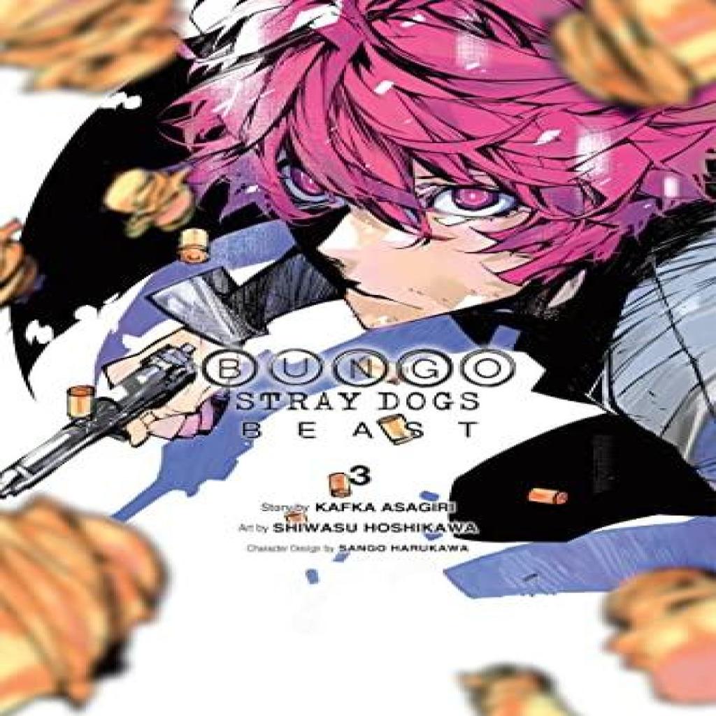 Bungo Stray Dogs Beast Vol. 3 by Shiwasu Hoshikawa Paperback Book 9781975344931
