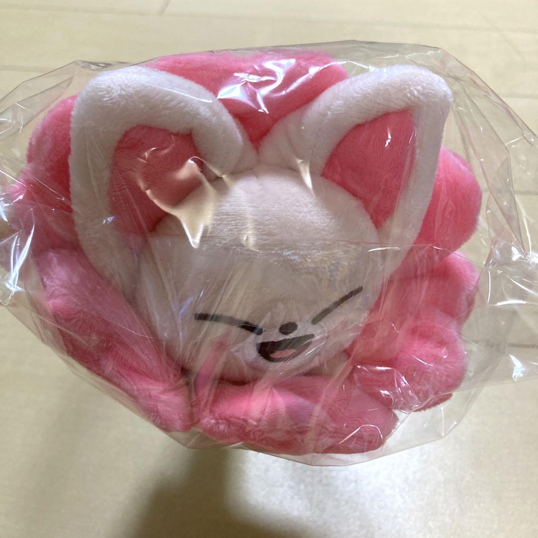 

[USED] straykids foxshiny pencil case skzoo ien sukiz