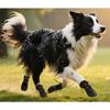 4PCS Dog Boot Water Resistant Antiskid Paws Protecting Comfortable For Big Dogs Various Weather Walking Hiking