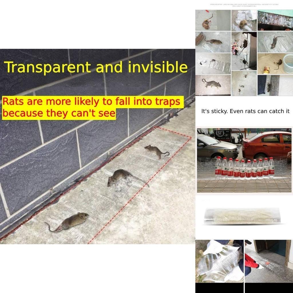 Invisible Transparent Mouse Trap Mat For Catching Rodents In Home Use Strong Adhesive Sticky Pad For Rat Control X 28cm)