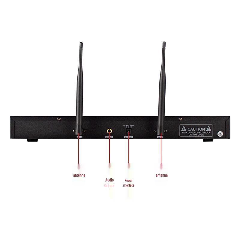 LINGSHENG Home Karaoke System with Speakers