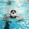 Adult Silicone Swimming Caps Funny Dog Print Unisex Headwear Funny Husky Design Swim Hat Waterproof Cute Cartoon Swimming Caps
