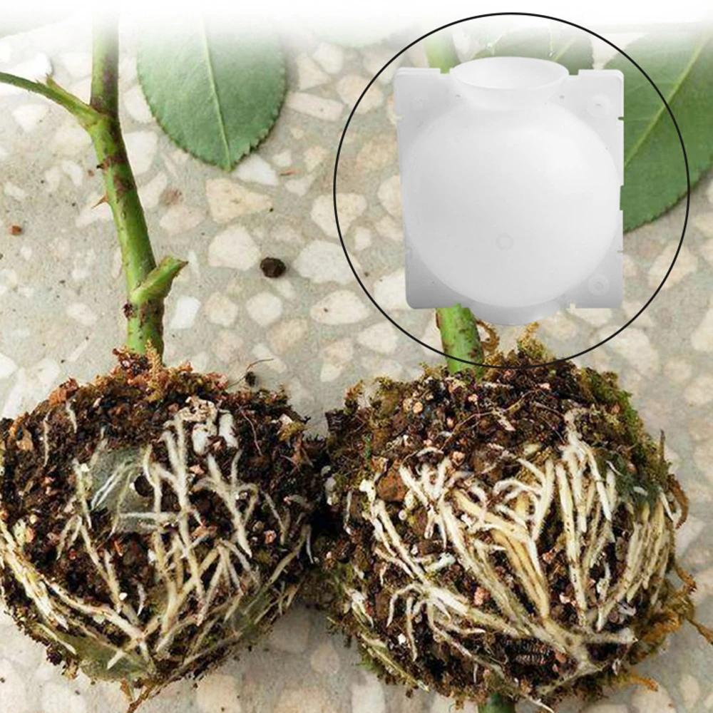 5 Stück(5 cm) Pflanzenbewurzelungskugel Veredelung Bewurzelung Anzuchtkasten Zuchtkasten Pflanzenwurzel Anzuchtkasten Für Garten 5/8cm Durchmesser.