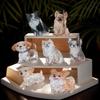 Cute Little Animals Puppy Acrylic Hair Clips Back Head Shark Clip Cartoon Samoye Corgi Border Collie Hair Claw Clip Accessories